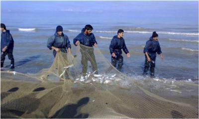 تمدید زمان صید ماهیان استخوانی در دریای خزر
